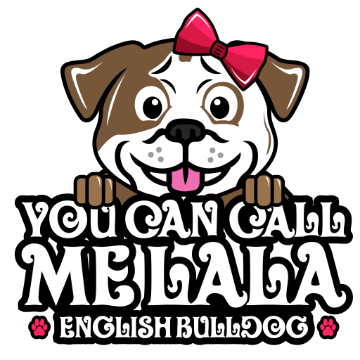 grooming-and-care-for-english-bulldogs-keep-your-pup-healthy